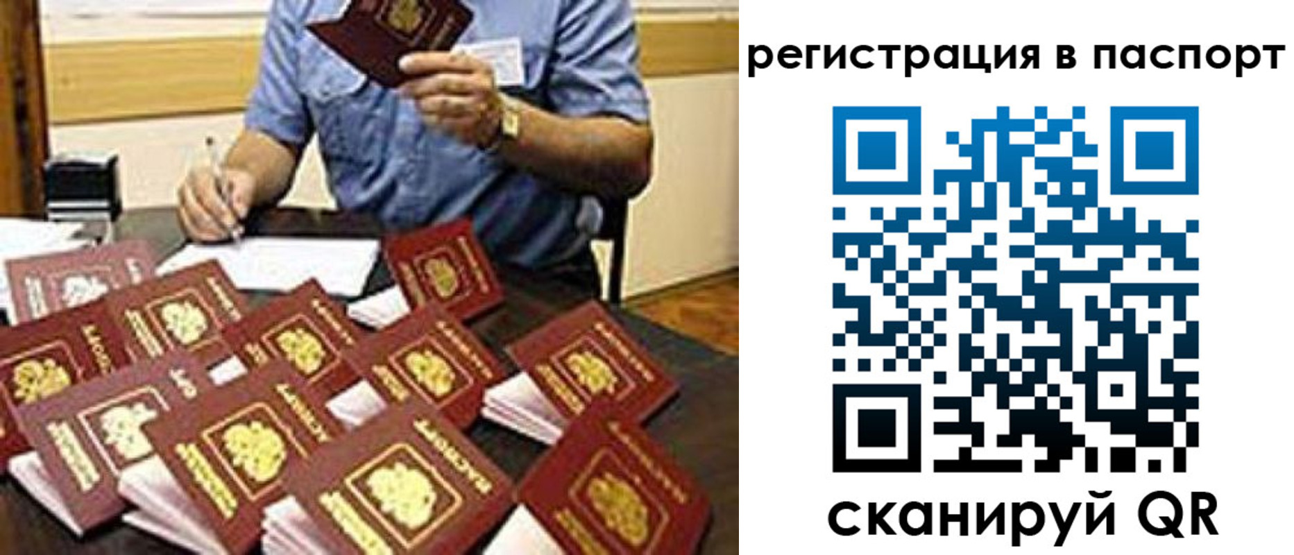 временная регистрация поиск в Волгограде